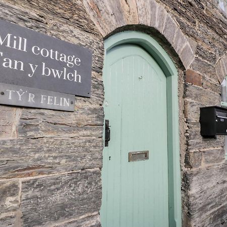 Mill Cottage ブライナイ・フェスティニオグ エクステリア 写真