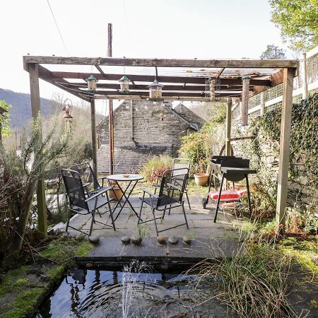 Mill Cottage ブライナイ・フェスティニオグ エクステリア 写真