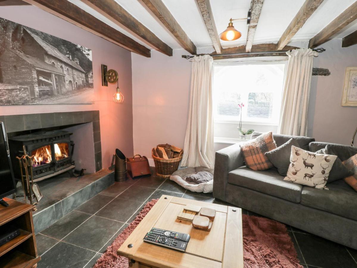 Mill Cottage ブライナイ・フェスティニオグ エクステリア 写真