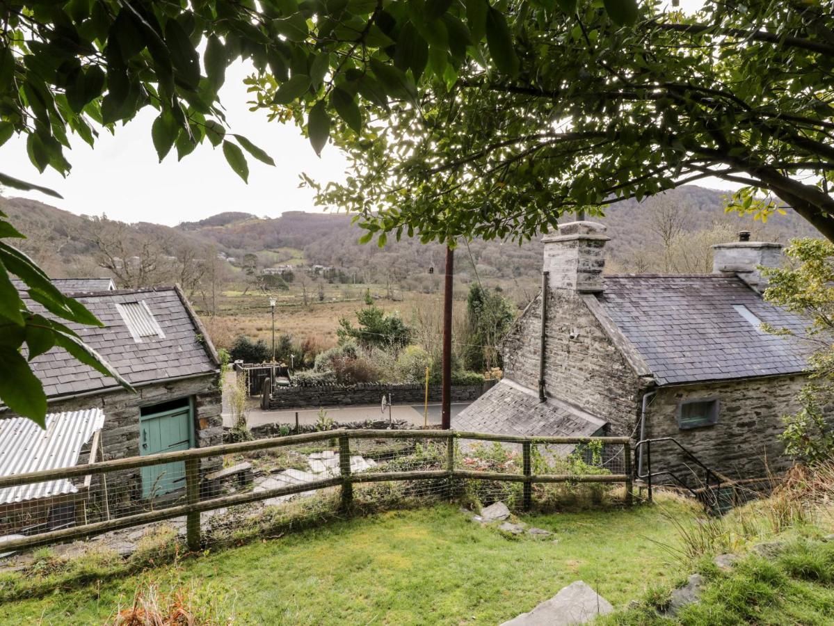 Mill Cottage ブライナイ・フェスティニオグ エクステリア 写真