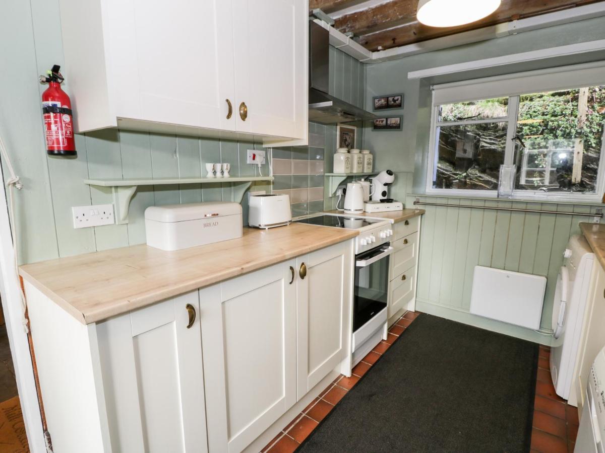Mill Cottage ブライナイ・フェスティニオグ エクステリア 写真